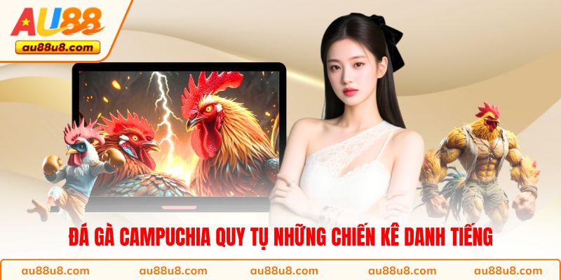 Đá gà Campuchia quy tụ những chiến kê danh tiếng