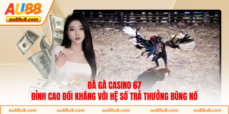 Đá gà Casino 67