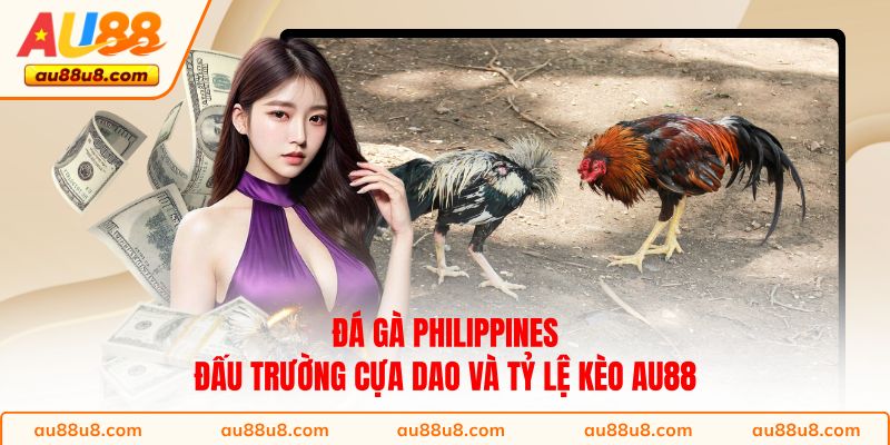 Đá gà Philippines