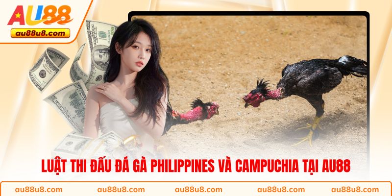 Luật thi đấu đá gà Philippines và Campuchia tại AU88