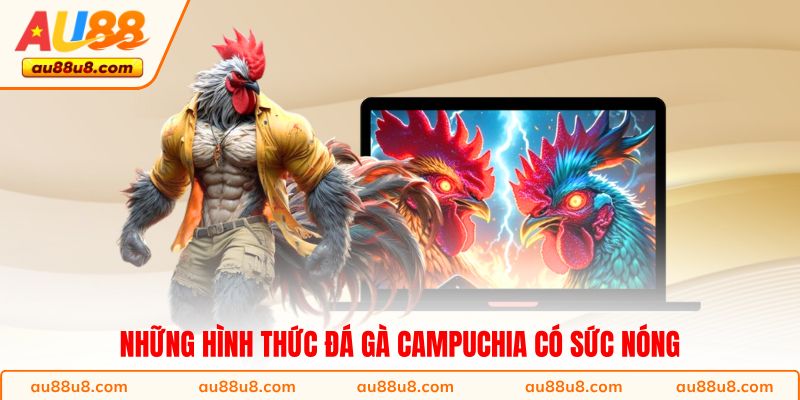 Những hình thức đá gà Campuchia có sức nóng