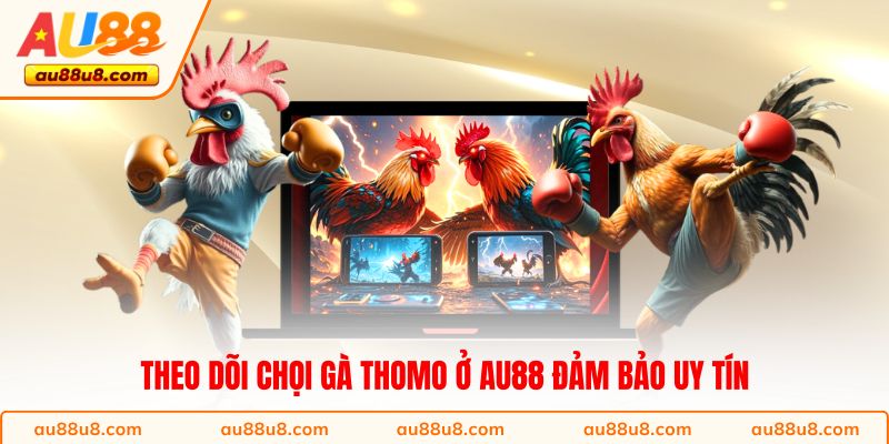 Theo dõi chọi gà Thomo ở AU88 đảm bảo uy tín