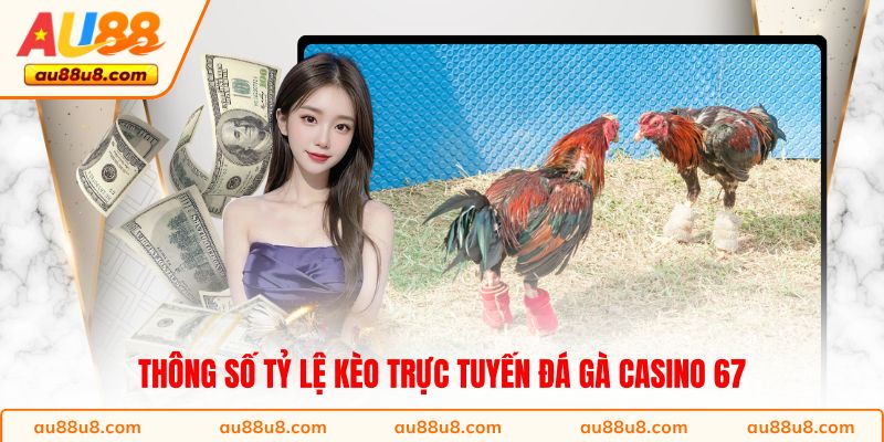 Thông số tỷ lệ kèo trực tuyến đá gà Casino 67